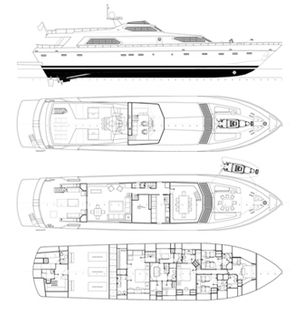 Disegno